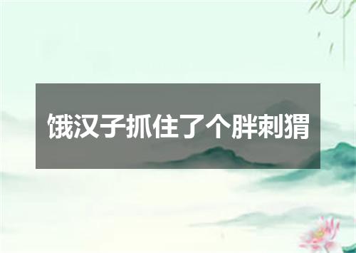 饿汉子抓住了个胖刺猬