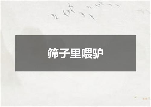 筛子里喂驴