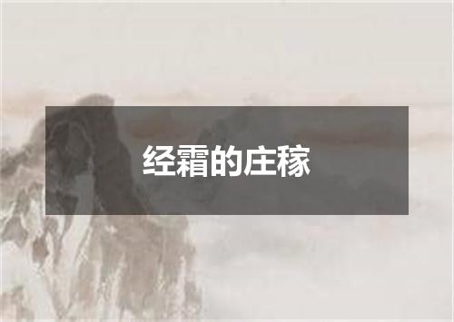 经霜的庄稼