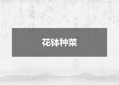花钵种菜