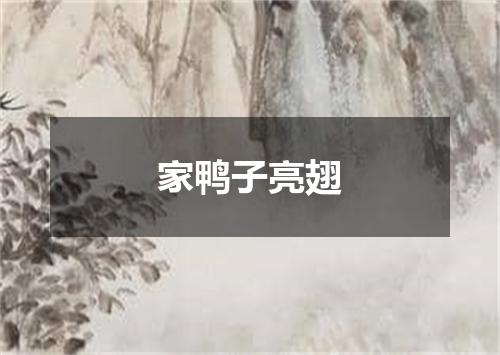 家鸭子亮翅