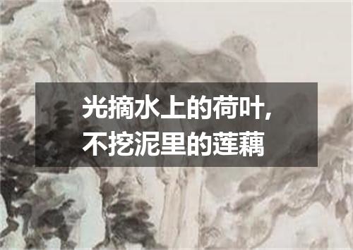 光摘水上的荷叶,不挖泥里的莲藕