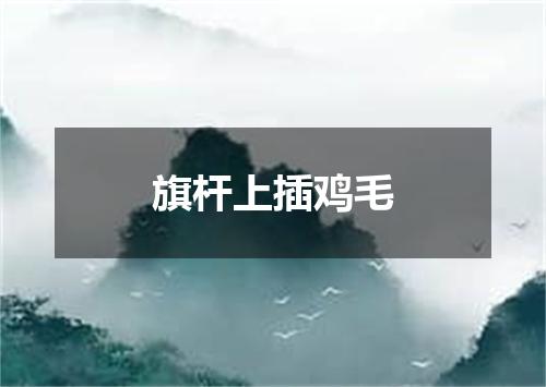 旗杆上插鸡毛