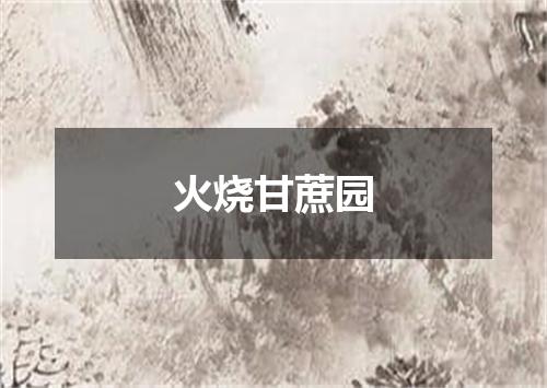 火烧甘蔗园