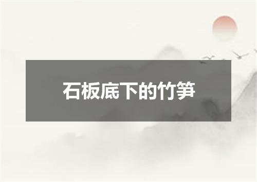 石板底下的竹笋