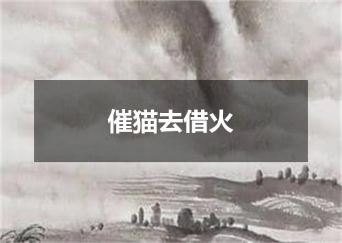 催猫去借火