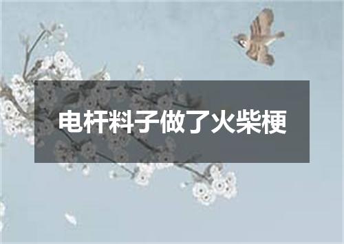 电杆料子做了火柴梗