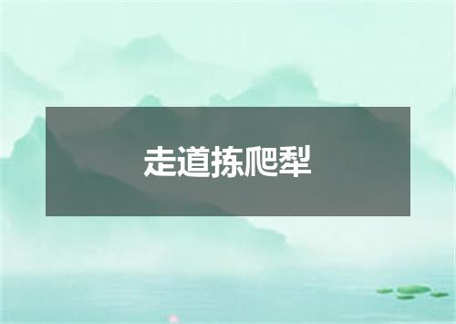 走道拣爬犁