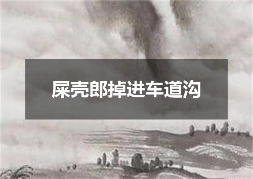屎壳郎掉进车道沟