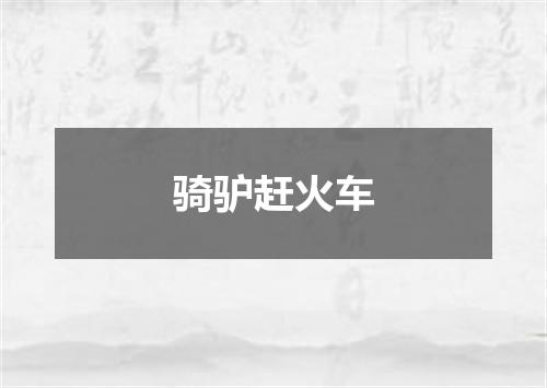 骑驴赶火车
