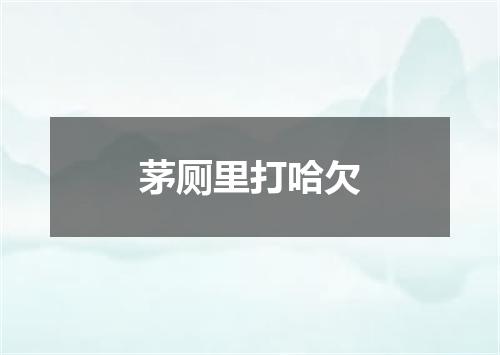 茅厕里打哈欠