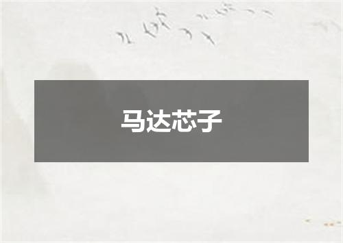 马达芯子