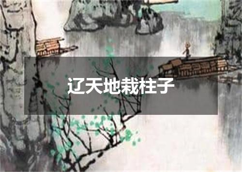 辽天地栽柱子