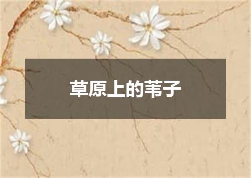 草原上的苇子