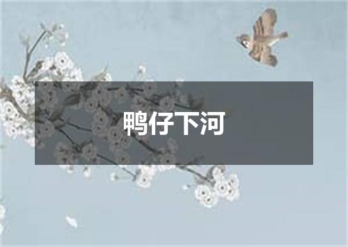 鸭仔下河