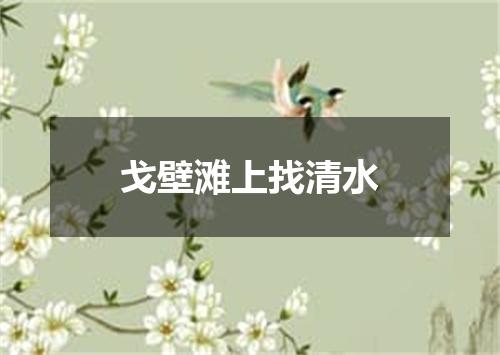 戈壁滩上找清水