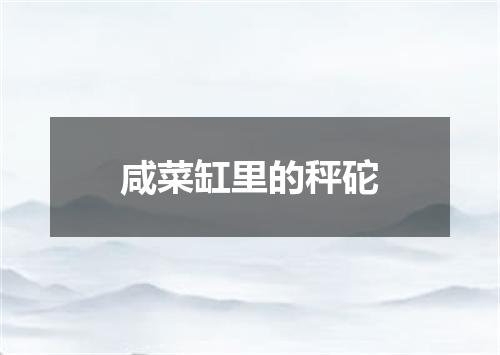 咸菜缸里的秤砣
