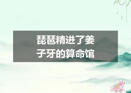 琵琶精进了姜子牙的算命馆