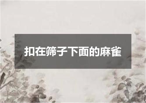 扣在筛子下面的麻雀