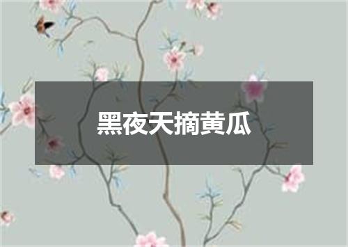 黑夜天摘黄瓜