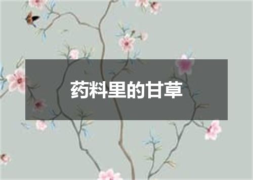 药料里的甘草