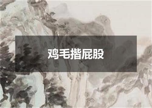 鸡毛揩屁股