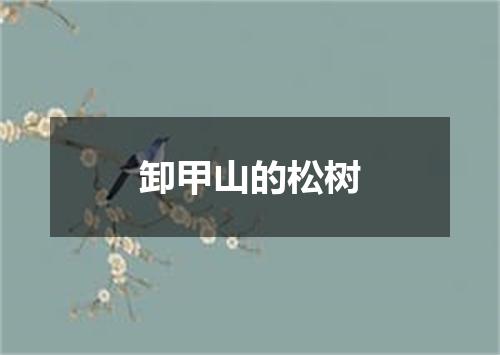 卸甲山的松树