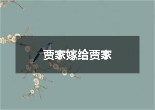 贾家嫁给贾家
