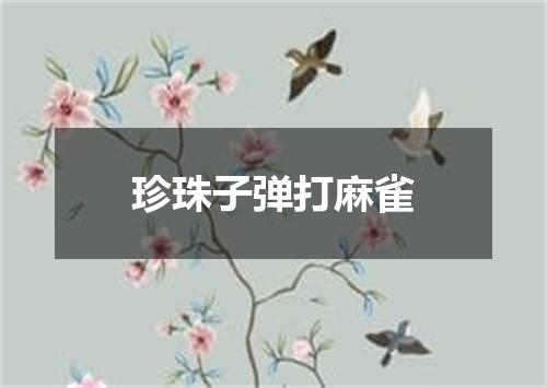 珍珠子弹打麻雀