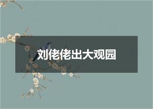 刘佬佬出大观园