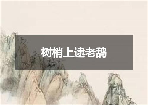 树梢上逮老鸹