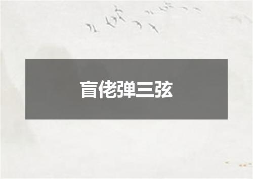 盲佬弹三弦