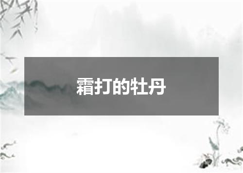 霜打的牡丹