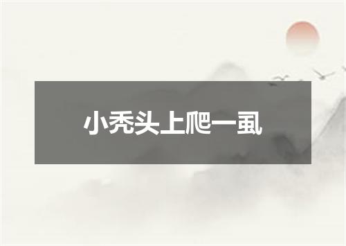 小秃头上爬一虱