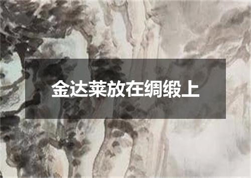 金达莱放在绸缎上