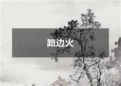 路边火