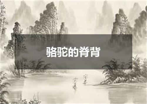 骆驼的脊背