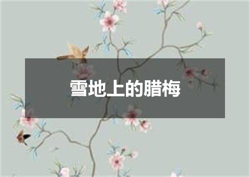 雪地上的腊梅