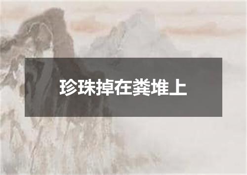 珍珠掉在粪堆上