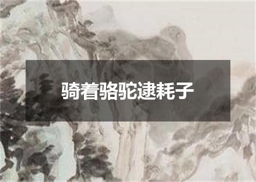 骑着骆驼逮耗子