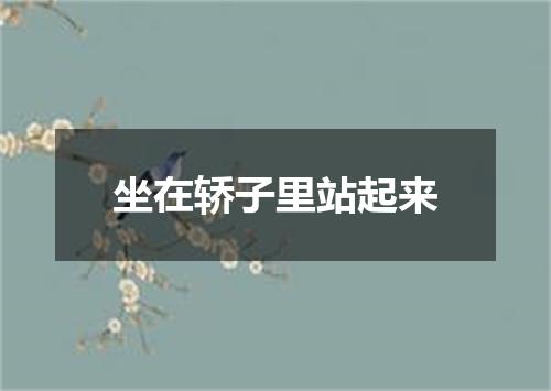 坐在轿子里站起来