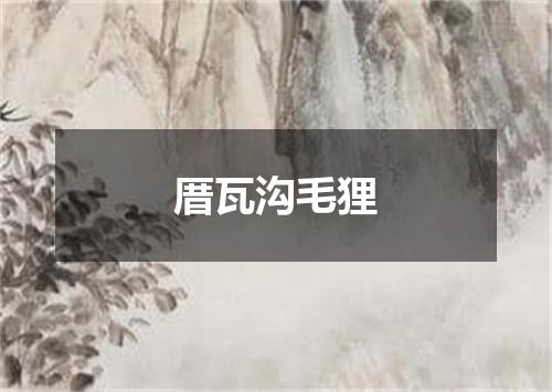 厝瓦沟毛狸