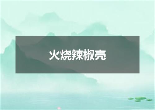 火烧辣椒壳