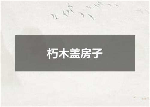 朽木盖房子