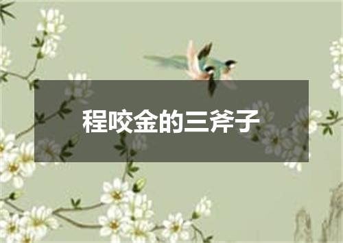 程咬金的三斧子