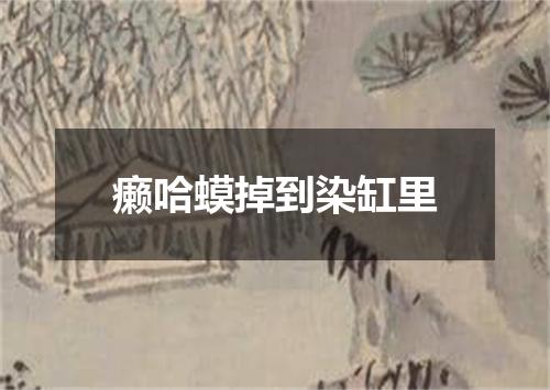 癞哈蟆掉到染缸里