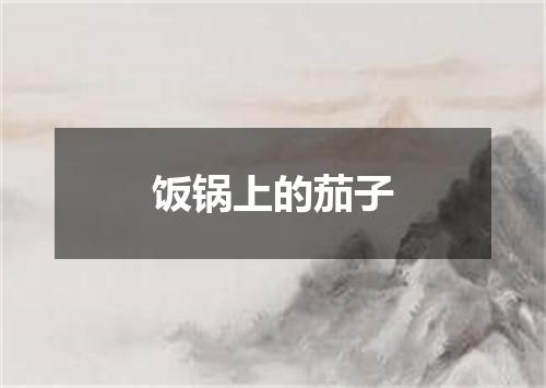 饭锅上的茄子