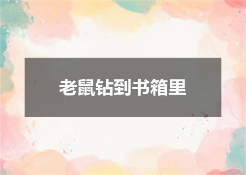 老鼠钻到书箱里