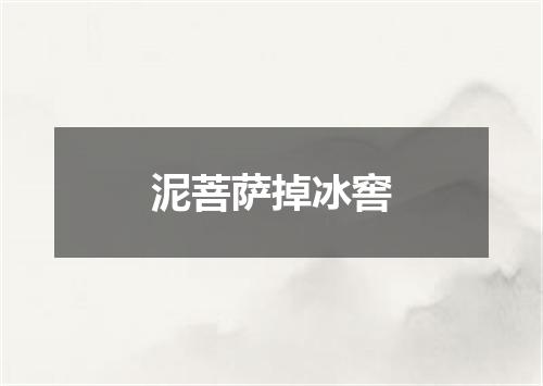 泥菩萨掉冰窖