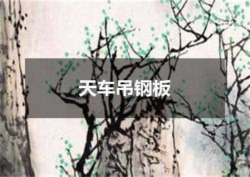 天车吊钢板